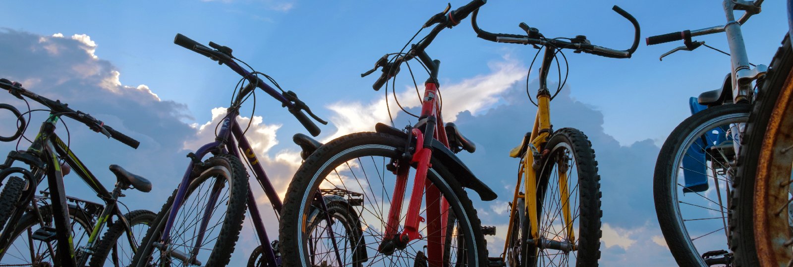 bikes lined up in a row